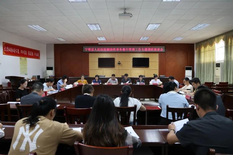 活动,为群众提供更加高效的审判服务,近日,宁明县人民法院开展辅助性